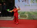 China 2010 261